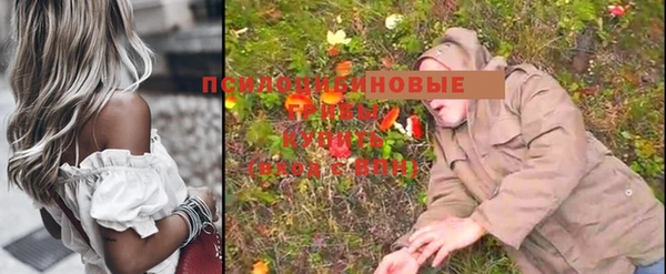 apvp Михайловск