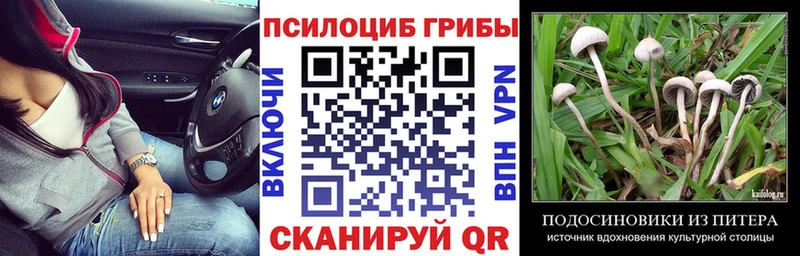 Галлюциногенные грибы GOLDEN TEACHER  Купить  Пятигорск 